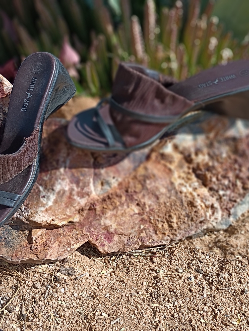 White Stag Brown Women's Slide Wedge Heel Sandals with Strap Detail